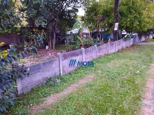 Imagem 9 de 9 de Terreno De Esquina No Orleans - Te0212