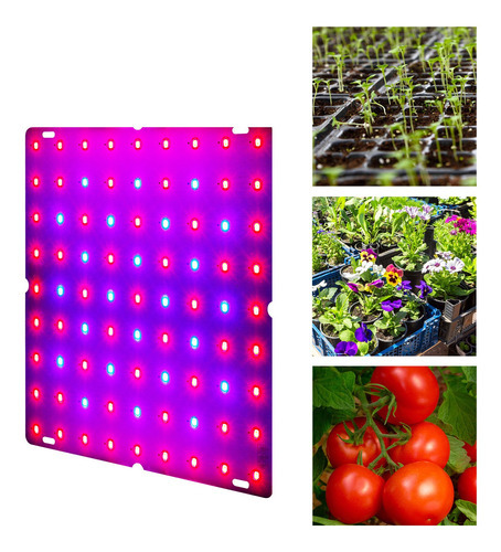 Led Grow Light, rojo y azul, espectro completo, 169 lámparas de cultivo LED