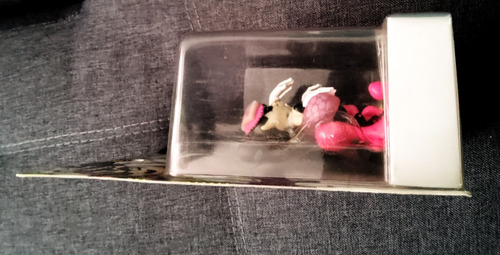 Amiibo Splatoon Callie Y Marie Calamarciñas Squid Sisters (Usado)