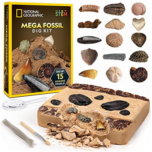 National Geographic Mega Fossil Dig Kit - Excavate 15 Genuin