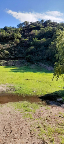 Venta Terrenos (varias Opciones) En Potrero De Los Funes La Curuxa