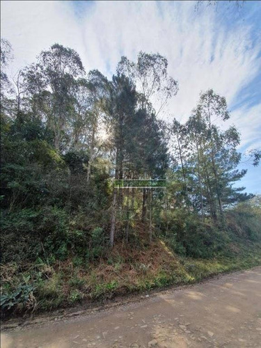 Área À Venda, 15600 M² Por R$ 160.000,00 - Centro - Parai/rs - Ar0011