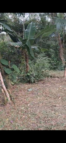 Vendo Um Sítio De 49.000 Metros Com Represa Dentro