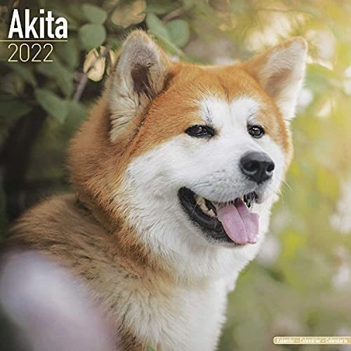 Libro: Calendario Akita Calendarios De Razas De Perros De 16