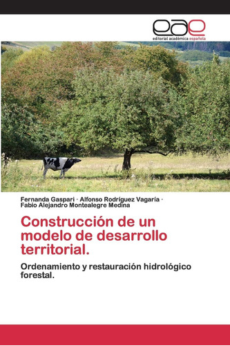 Libro: Construcción De Un Modelo De Desarrollo Territorial.: