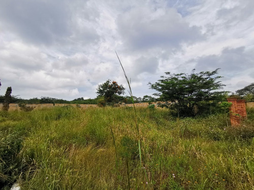 Imagen 7 de 21 de En Venta Terreno Cerca De La Ciudad, En Fraccionamiento Priv