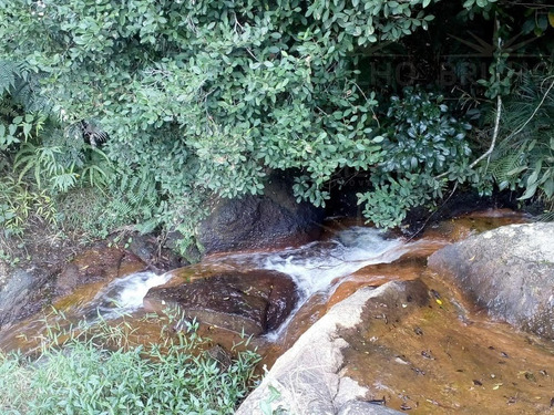 Imagem 5 de 15 de Terreno Condomínio Para Venda - 6765