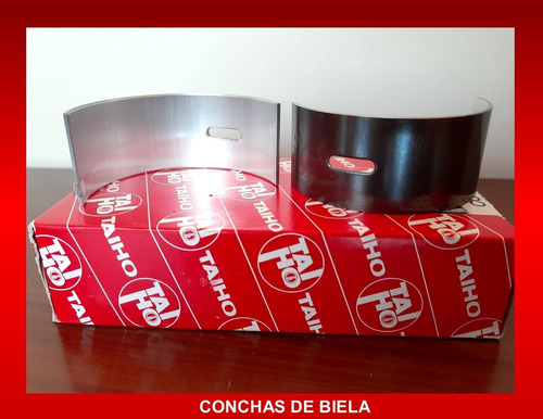 Conchas Biela Std/0.10/0.20/0.30 Dyna 14b Coaster 15bft
