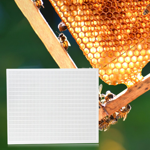 Queen Excluder Beehive Reductor De Entrada Mouse Guard