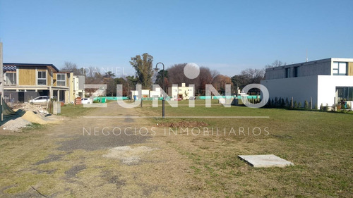Imagen 11 de 11 de Excelente Lote En Venta En San Ignacio Chico