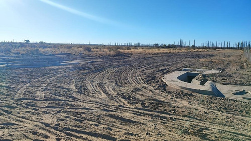 Imagen 6 de 13 de Terreno En Venta San Rafael Mendoza