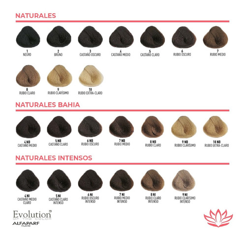 Imagen 2 de 8 de Tintura Alfaparf Evolution X60ml Coloración X 6 Unidades