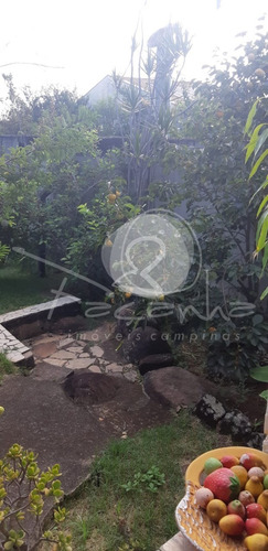 Imagem 6 de 12 de Chácara Para Venda No Jardim Mirian Em Campinas - Imobiliária Em Campinas. - Ch00019 - 70683897