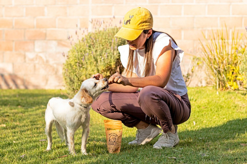 Premios Para Perro Hipoalergénicos, Naturales, Con Proteína.