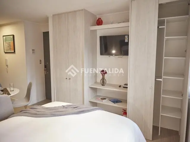 Imagen 4 de 26 de Departamento En Venta De 1 Dorm. En Santiago