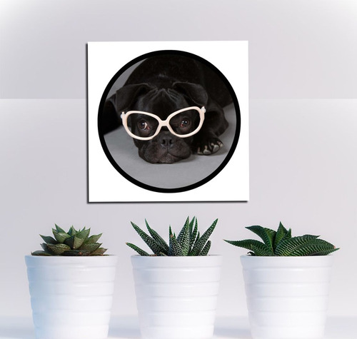 Vinilo Decorativo 30x30cm Bulldog Optica Gafas Veterinario