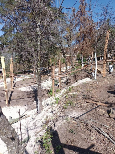 Imagen 12 de 15 de Terreno Habitacional En Venta En San Miguel Tlaixpan, Texcoco, México