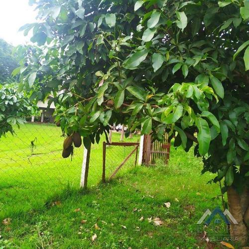Imagem 21 de 30 de Chácara No Dom Pedro I, Com 2 Dormitórios À Venda, 10010 M² Por R$ 768.000 - Dom Pedro I - Londrina/pr - Ch0159