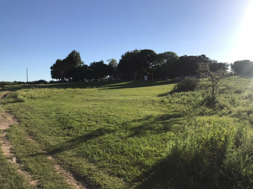 Se Vende Campo Mixto 161 Ha En Los Molinos (córdoba), A Tranquera Cerrada.