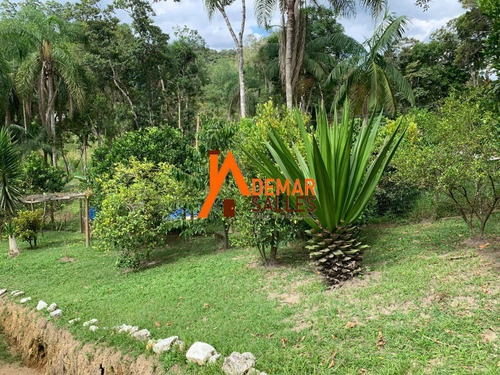 Imagem 17 de 26 de Chacara - Ch00116 - 70731081