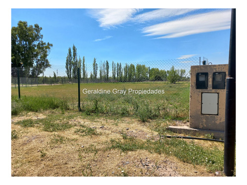 Imagen 2 de 11 de Lotes En Venta De 1500 M2 En Barrio Privado Estilo Chacra, Cipolletti