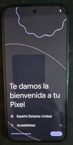 Google Pixel 9 Pro Xl 256 Gb (Usado)