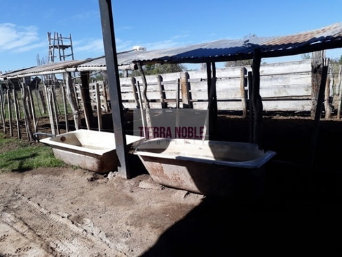 Imagen 5 de 17 de Permuto Por Casa Finca Agroganadera