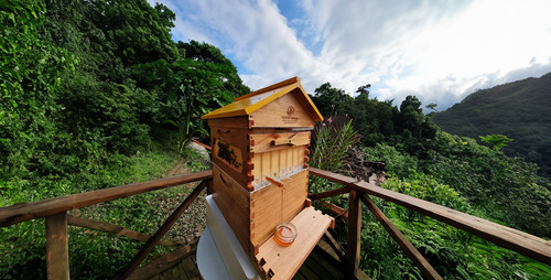 Colmeia Automática Flow Auto Frame Honey Hive