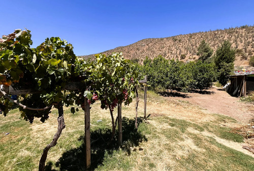 Terreno Con Gran Potencial, Sector Campo Lindo / Curacaví