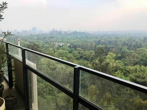 Imagen 3 de 12 de Excelente Departamento Con Vista Al Bosque De Chapultepec