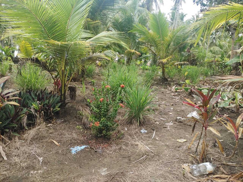 Se Vende En Nagua