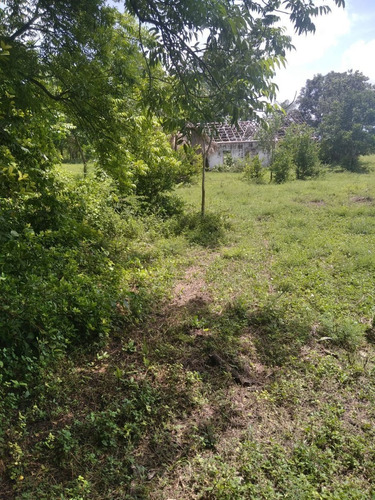 Imagen 7 de 17 de Venta 199 Hectáreas - Para Cultivo Y Ganado