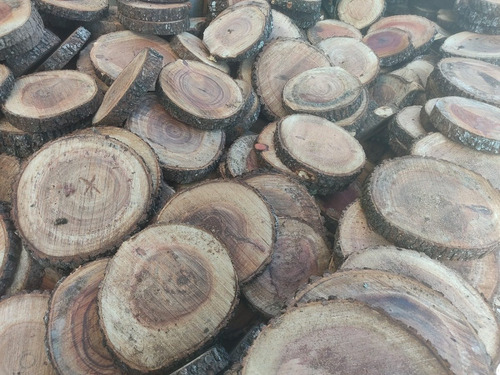 Imagen 2 de 9 de Rodajas De Madera Quebracho Para Camino Jardín Y Deco