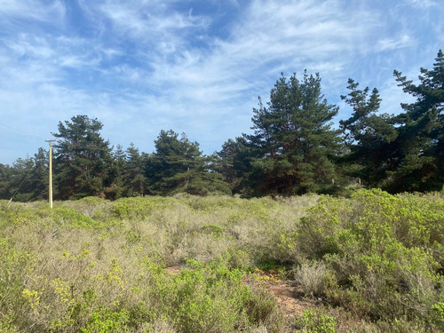 Precioso Sitio A La Venta En Parcelacion Costera
