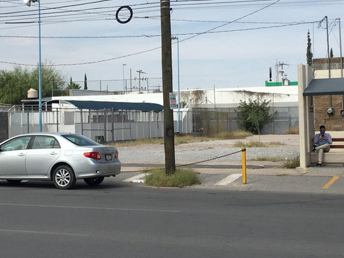 Imagen 3 de 6 de Terrenos En Renta Zona San Felipe Chihuahua