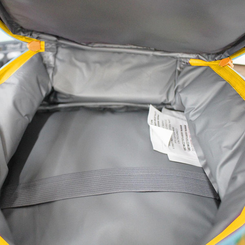 Mochila Rei Leão Infantil Com Lancheira Térmica Escolar Kit