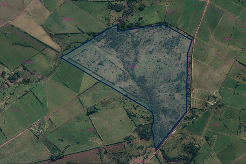 Campo - Venta- Tarariras, Colonia