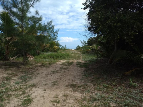Venta Terreno 100 Hectareas Playa De Tamiahua Veracruz