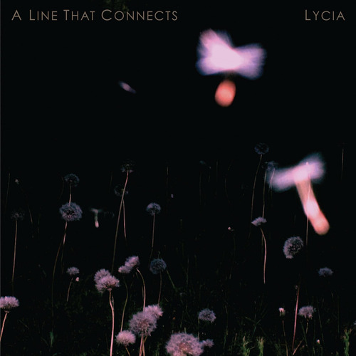Cd: Lycia A Line That Connects Limited Edition Usa Import Cd