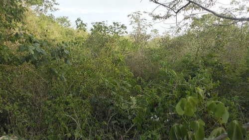Terreno En Venta Cholul A Pie De Calle En Merida-yucatan