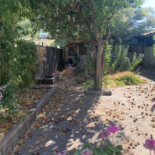 Venta De Terreno Chillan Centro Para Desarrollo