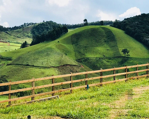 Imagem 6 de 10 de Vendo Chácara Excelente Em Maria Da Fé, Sul De Minas, Clima Da Serra Da Mantiqueira, Mais De 1500 M² Por R$ 65 Mil. - Ch00004 - 34560005