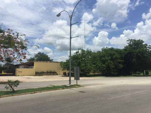 Imagen 15 de 25 de Terreno Sobre Avenida De Cuatro Carriles En Yucatán $320m2 -142m De Frente -71298m2- Tizimín