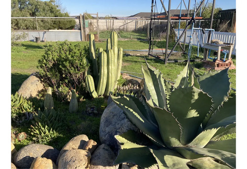 Venta Agrícola San Francisco De Limache