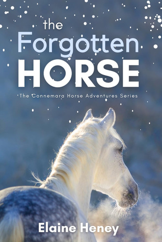 El Caballo Olvidado Libro 1 Serie Connemara Horse Adventure