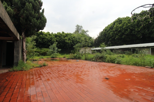 Imagen 7 de 18 de Terreno En Venta En Zona Exclusiva