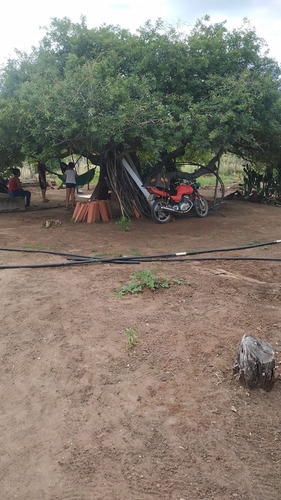 Chácara Em Andorinha-ba Com Poço 10 Mil Litros Por Hora