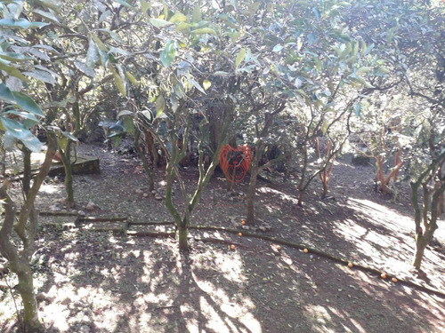Imagem 14 de 15 de Chácara Com 2 Dormitórios À Venda, 3290 M² Por R$ 383.000 - Loteamento Rural Palermo - Gravataí/rs - Ch0023