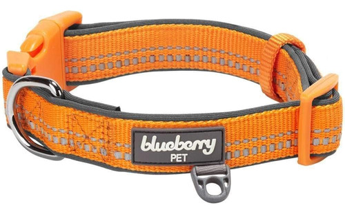 Blueberry Pet Collar Para Perro Ajustable, Acolchado, De Neo