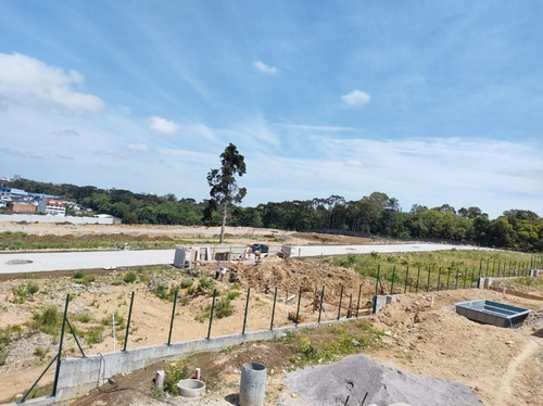 Imagem 6 de 15 de Terreno - Interlagos - Ref: 8994 - V-8994